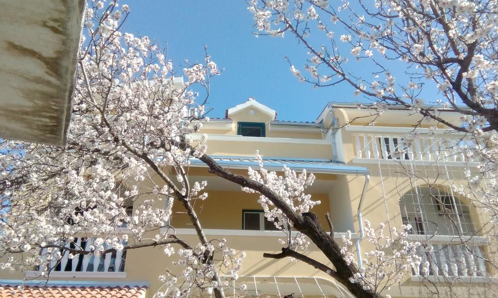 Apartments Meri Водице Екстер'єр фото